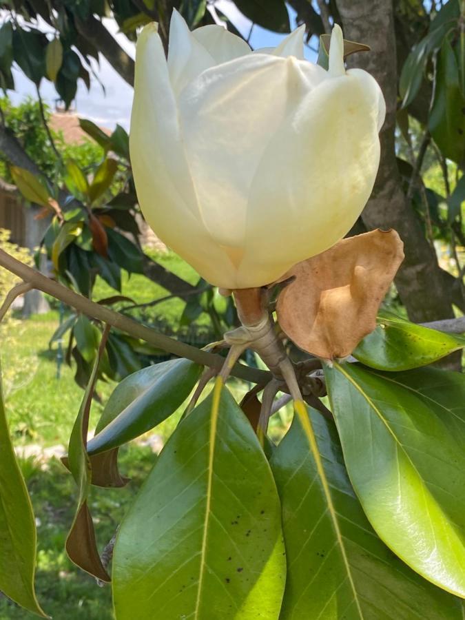 La Roubine, Velleron Βίλα Εξωτερικό φωτογραφία