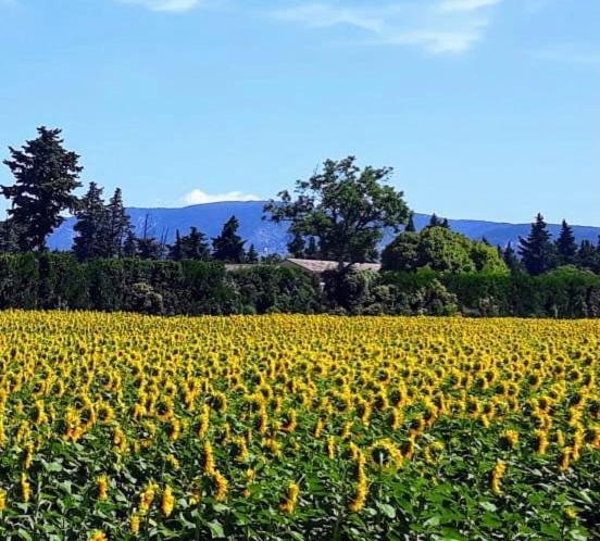 La Roubine, Velleron Βίλα Εξωτερικό φωτογραφία