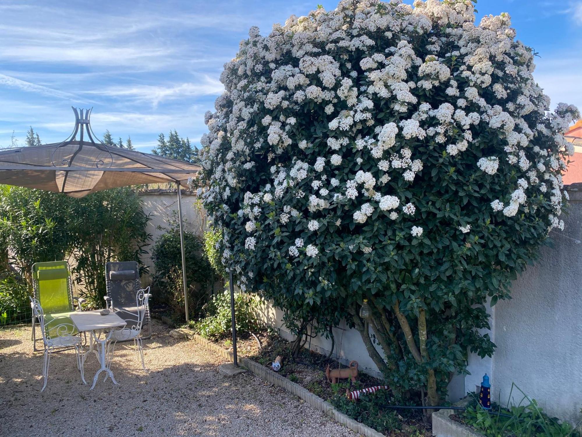 La Roubine, Velleron Βίλα Εξωτερικό φωτογραφία